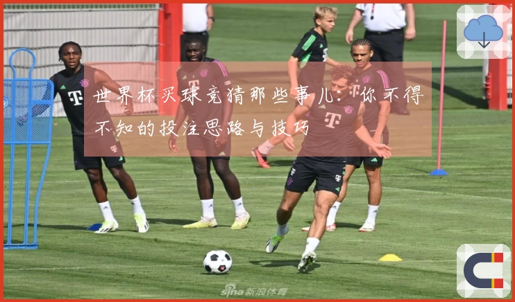 世界杯买球竞猜那些事儿：你不得不知的投注思路与技巧