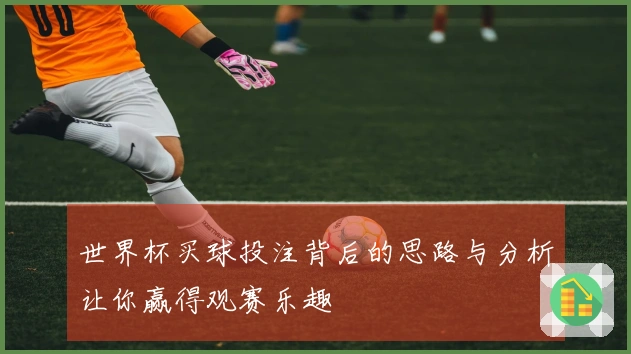 世界杯买球投注背后的思路与分析让你赢得观赛乐趣