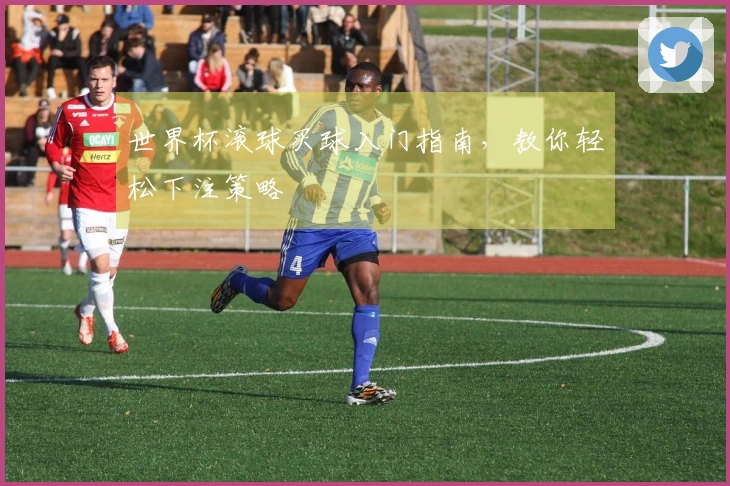 世界杯滚球买球入门指南，教你轻松下注策略