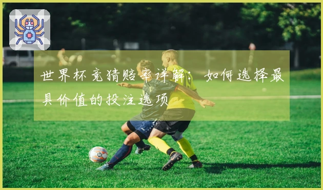 世界杯竞猜赔率详解：如何选择最具价值的投注选项