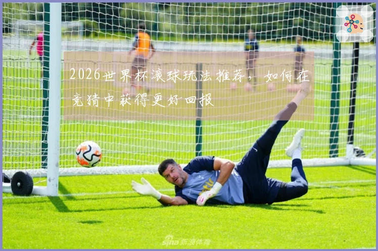 2026世界杯滚球玩法推荐，如何在竞猜中获得更好回报