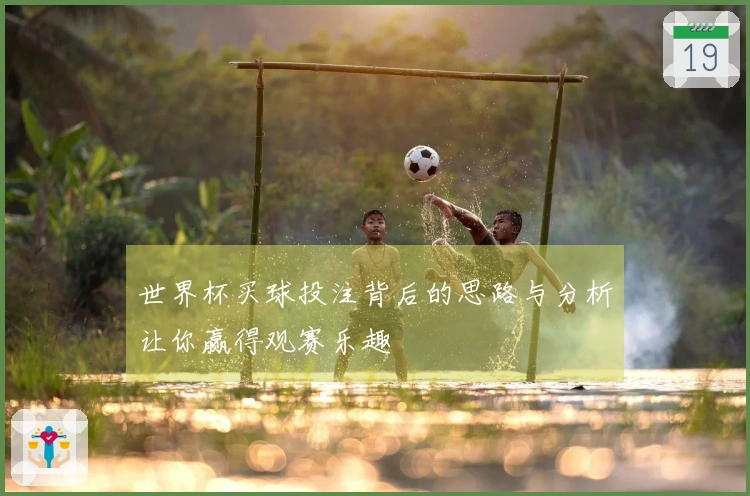 世界杯买球投注背后的思路与分析让你赢得观赛乐趣