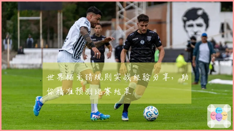 世界杯竞猜规则实战经验分享，助你精准预测比赛结果